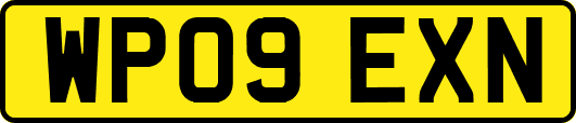 WP09EXN