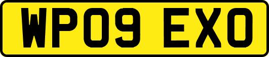 WP09EXO