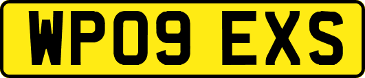 WP09EXS