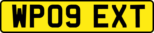 WP09EXT