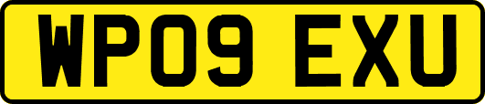 WP09EXU