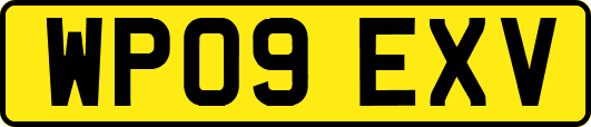 WP09EXV