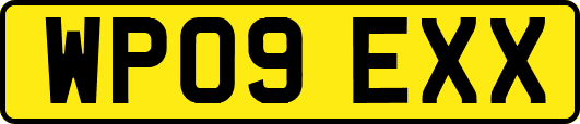 WP09EXX