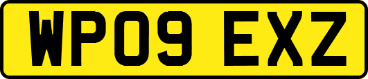 WP09EXZ