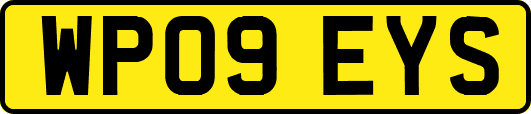 WP09EYS