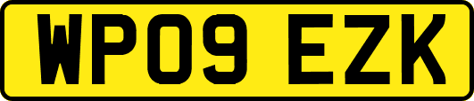 WP09EZK