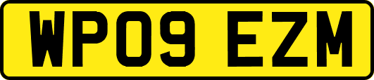 WP09EZM