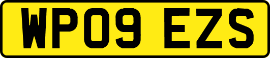 WP09EZS