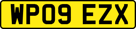 WP09EZX