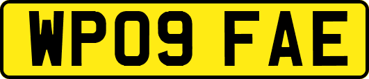 WP09FAE