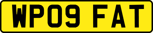 WP09FAT
