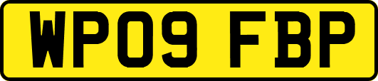 WP09FBP