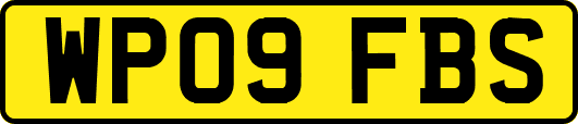 WP09FBS