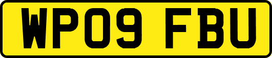 WP09FBU