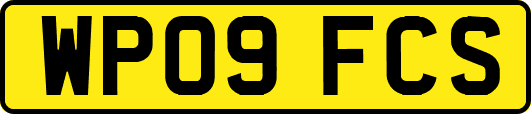 WP09FCS
