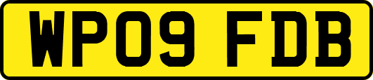 WP09FDB