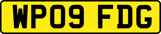 WP09FDG