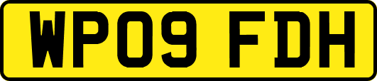 WP09FDH