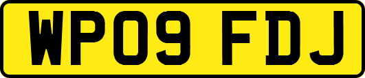 WP09FDJ
