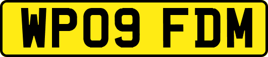 WP09FDM