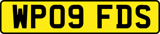WP09FDS