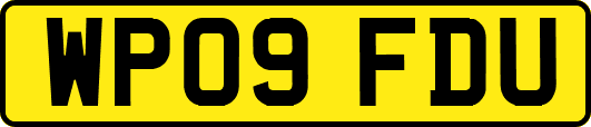 WP09FDU