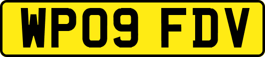 WP09FDV