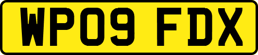 WP09FDX