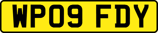 WP09FDY