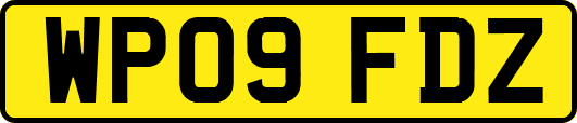 WP09FDZ