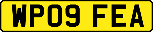 WP09FEA