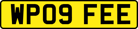 WP09FEE