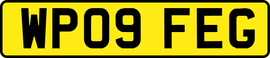 WP09FEG