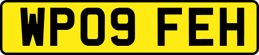 WP09FEH