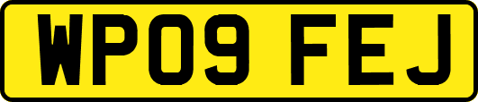 WP09FEJ