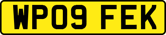 WP09FEK