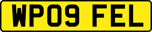 WP09FEL