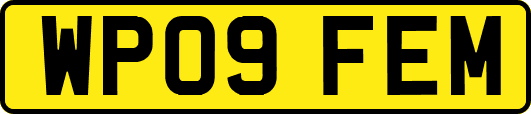 WP09FEM