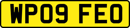 WP09FEO