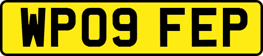 WP09FEP