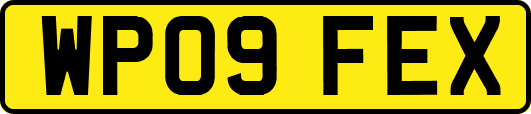 WP09FEX