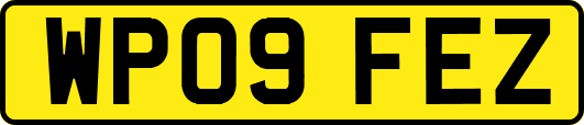 WP09FEZ