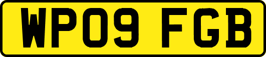 WP09FGB