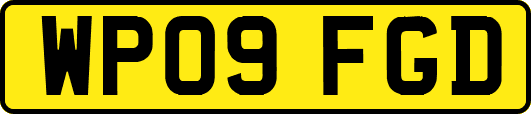 WP09FGD
