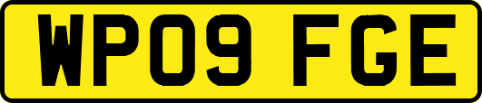 WP09FGE
