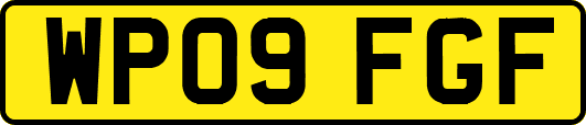 WP09FGF
