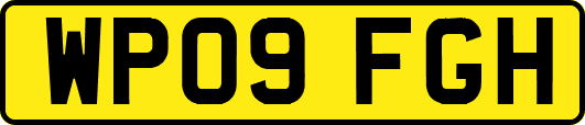 WP09FGH