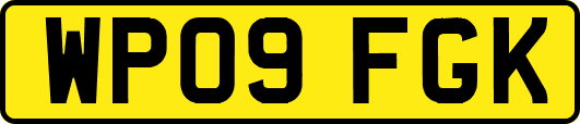 WP09FGK