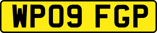 WP09FGP