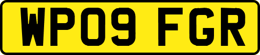 WP09FGR